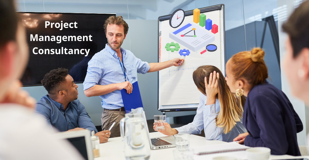 what is project management consultancy